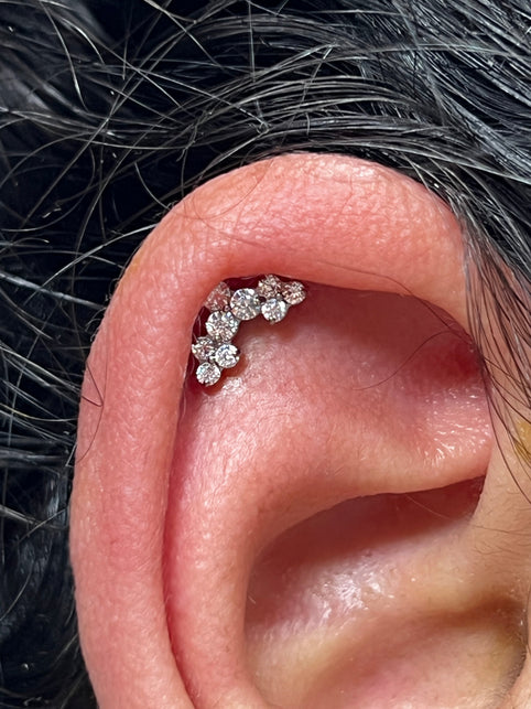 Oor met helix piercing  gezet bij All Perfectly Pierced Rhoon