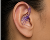 Anatomische analyse van het oor voor de plaatsing van een daith piercing