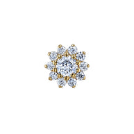 The Tiniest rose - BVLA