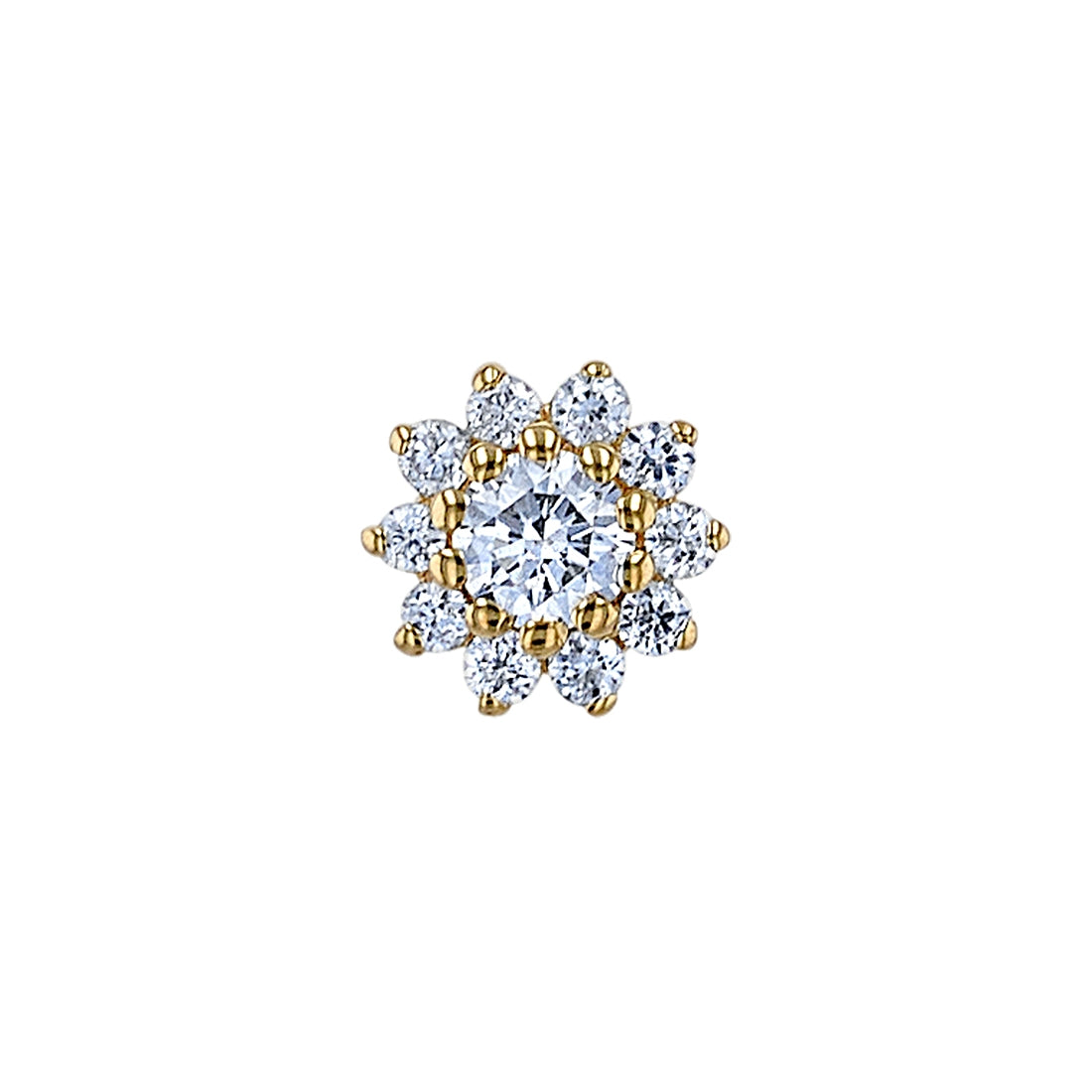 The Tiniest rose - BVLA