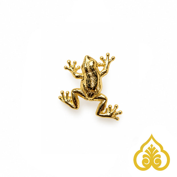 Tree Frog - Anatometal
