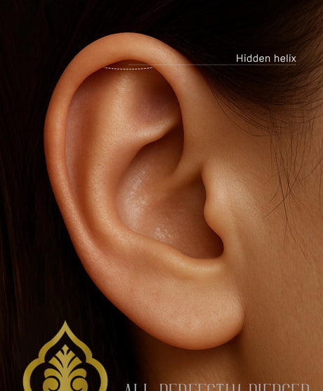 Hidden Helix piercing locatie weergegeven op een realistisch oor bij All Perfectly Pierced.