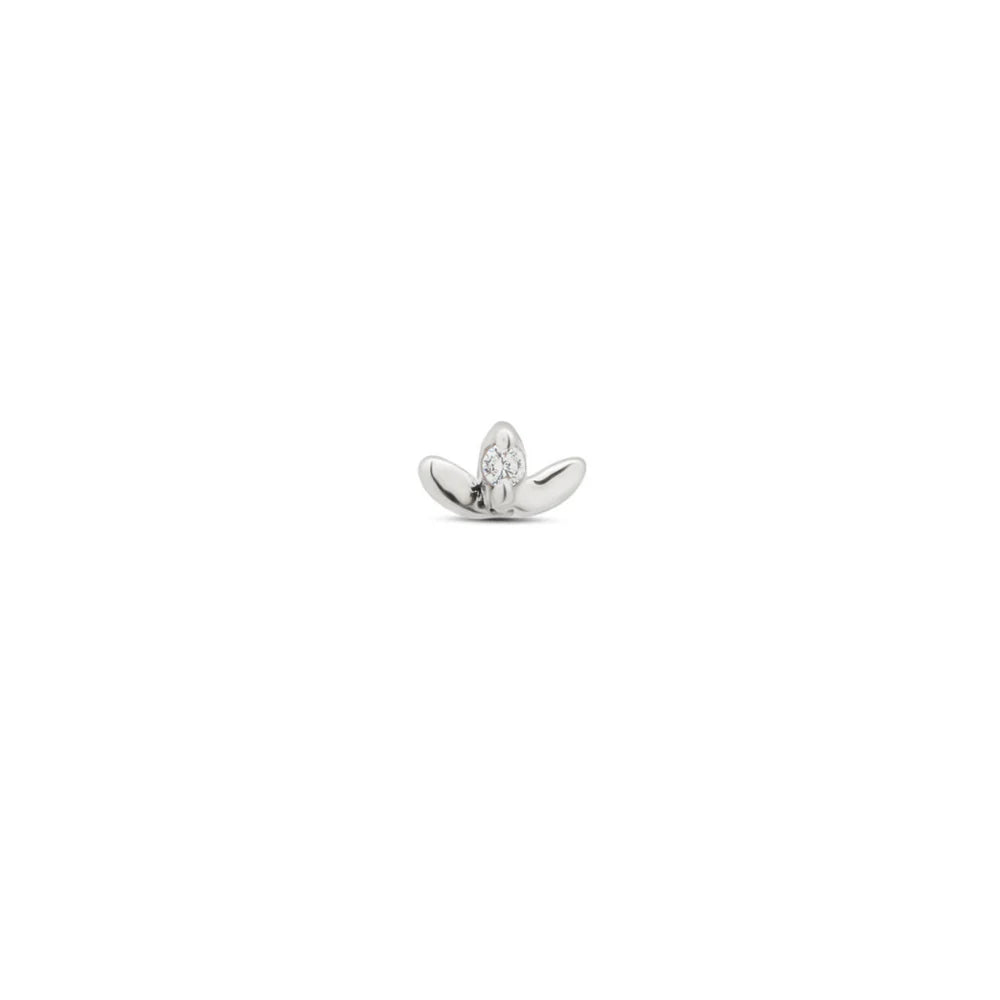Marquise Petal - Mini Collection