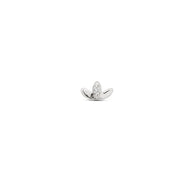 Marquise Petal - Mini Collection