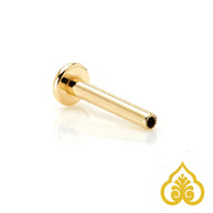 Labret 1,0 mm 14kt Geelgoud Threadless