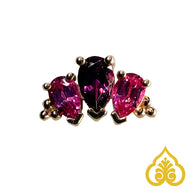 Graduated 3 gem pear Panaraya - BVLA