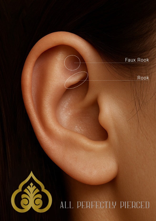 Weergave van de anatomische plaats voor een Rook en Faux Rook piercing