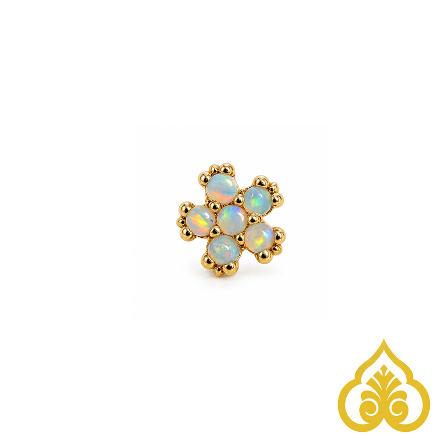 Pixie - opal - Tawapa
