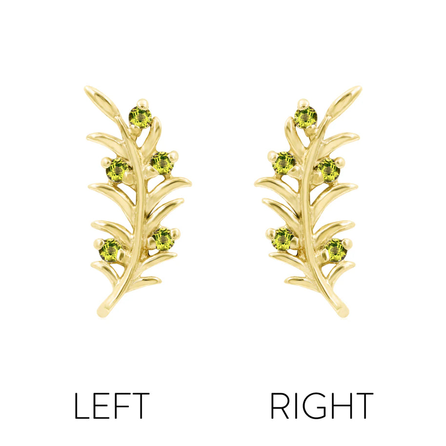 Olive branch - Junipurr jewelry