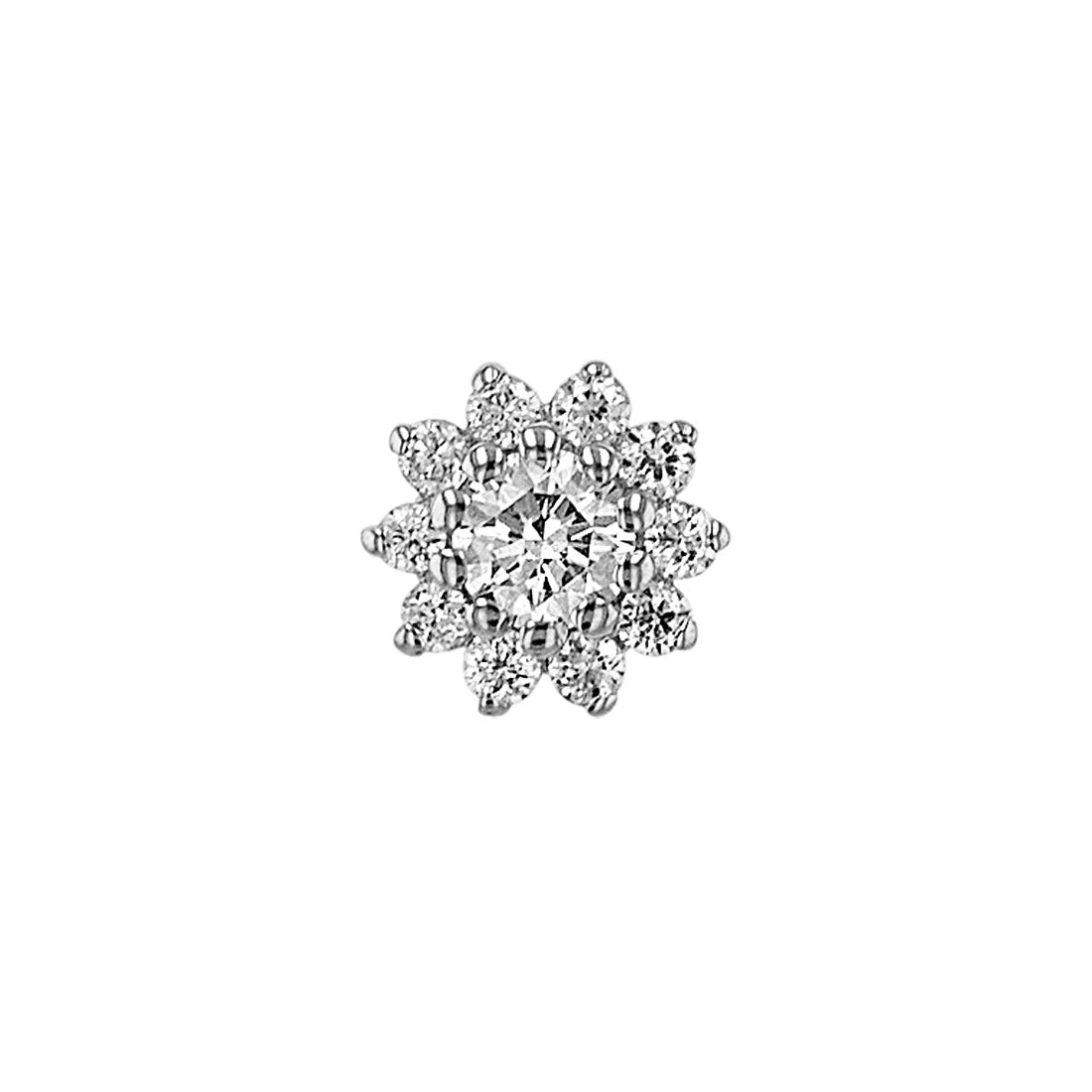 The Tiniest rose - BVLA