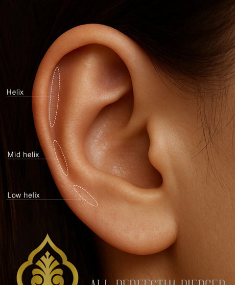 Helix piercing locatie weergegeven op een realistisch oor bij All Perfectly Pierced.